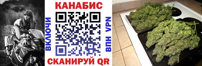 Канабис сатива  Алупка 
